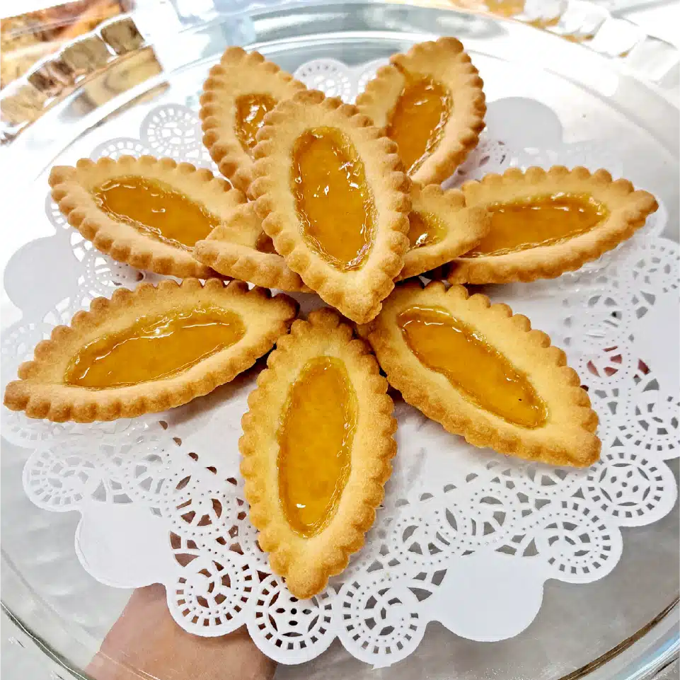 header_image-paste_frolle-latest-2025-09-23