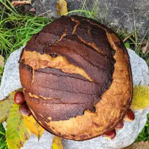 panettoni-il-castagnone-300x300